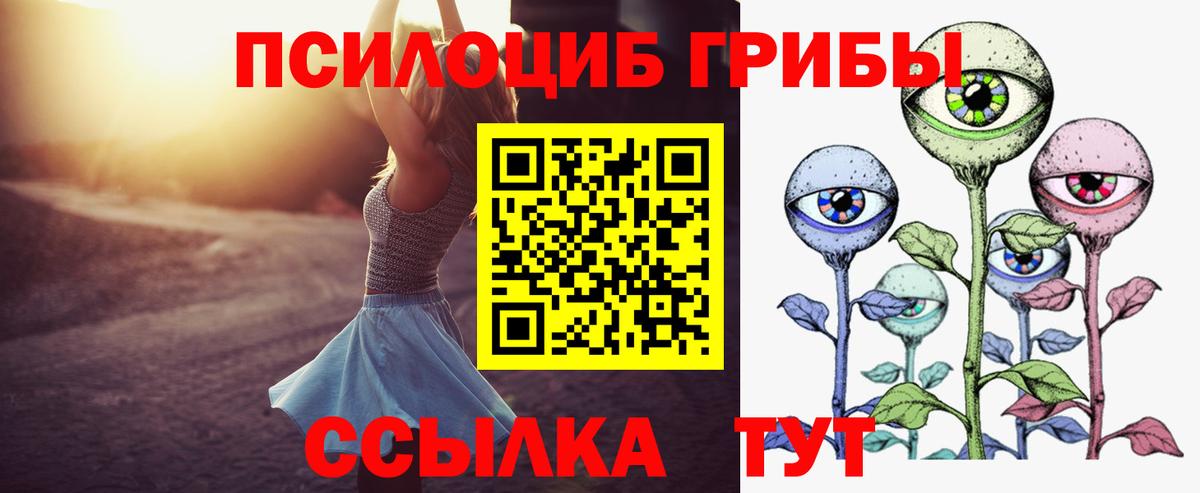 Галлюциногенные грибы Psilocybine cubensis Гагарин