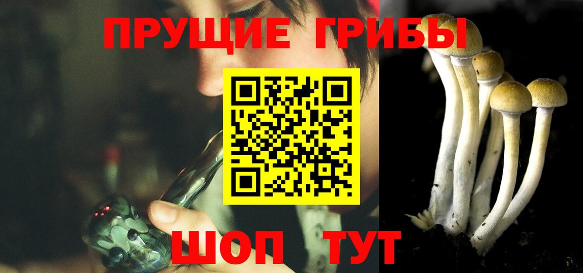 Гагарин  закладки  Вход с VPN  Псилоцибиновые грибы ЛСД 